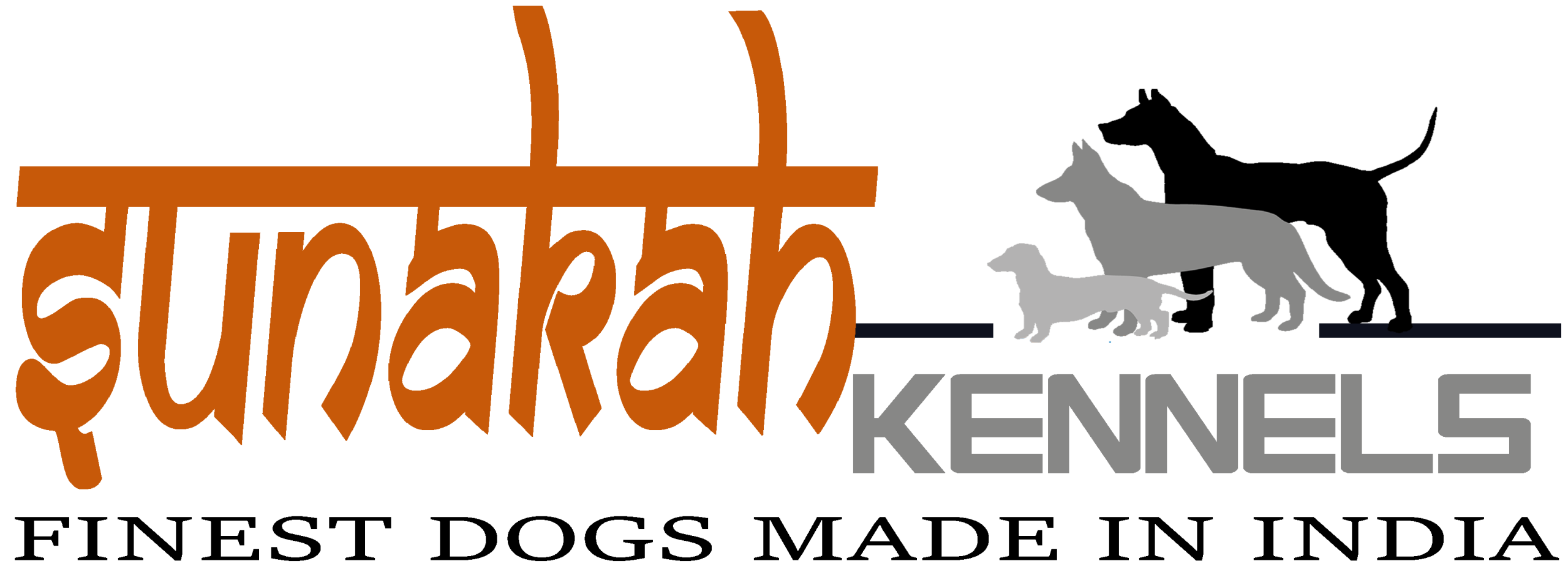 Quality Dog for Sale | Best Puppies For Sale Online